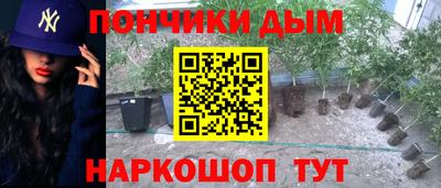соль ск Сланцы