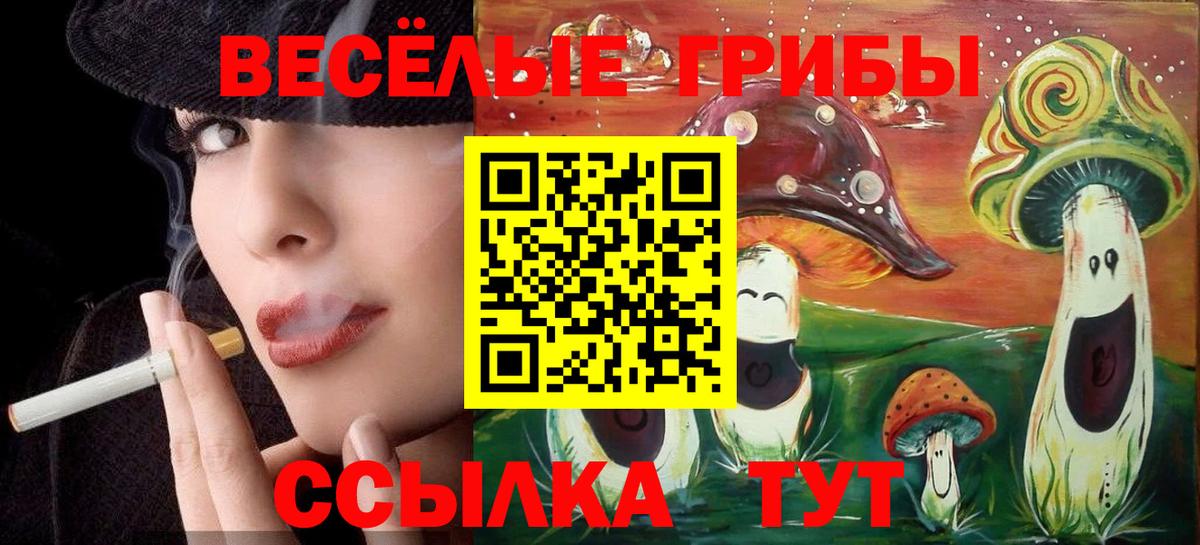 Галлюциногенные грибы мицелий  Вход с VPN  Саранск 