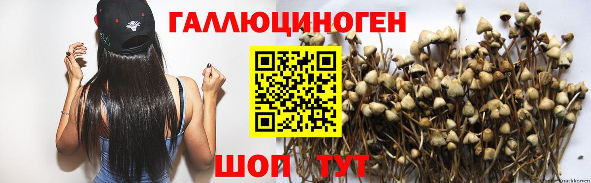 Псилоцибиновые грибы Magic Shrooms Саранск